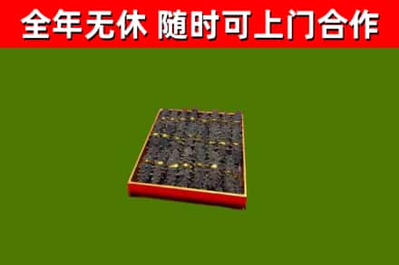 琼山区回收海参